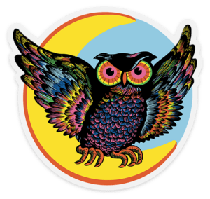 beistle owl